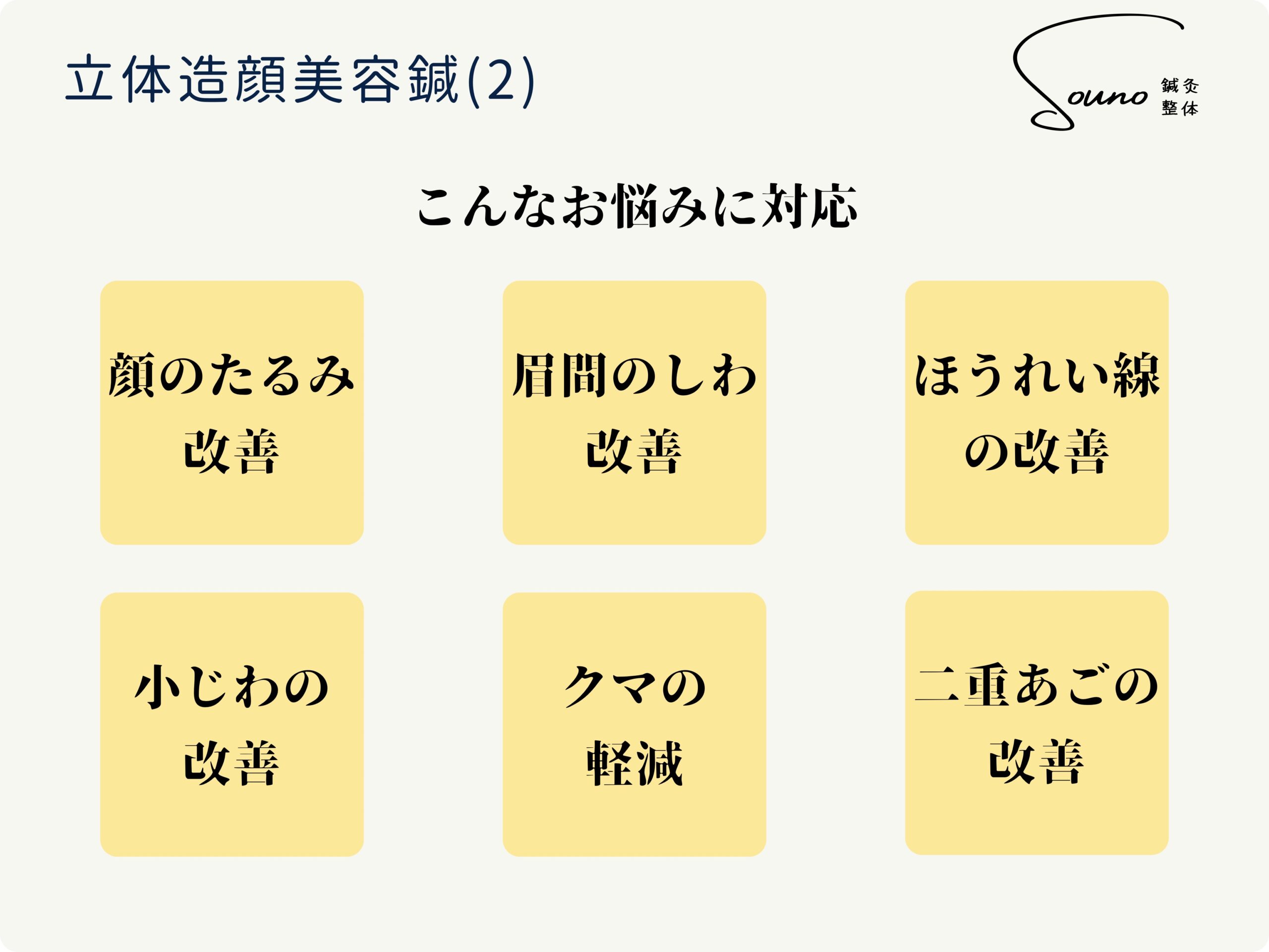 立体造顔美容鍼について